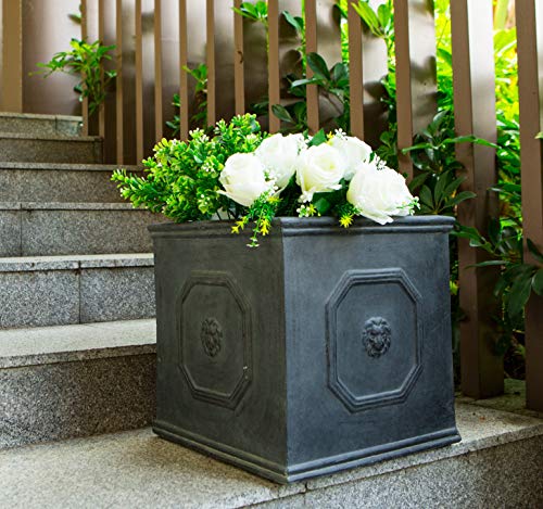 Kante Square Lion Head Concrete Planter, Classic English Style Plant Pot with Drainage Hole and Rubber Plug for Indoor Outdoor Garden Patio Home, 12.6"x12.6"x12.6" Antique Gray by Kante - Image 3