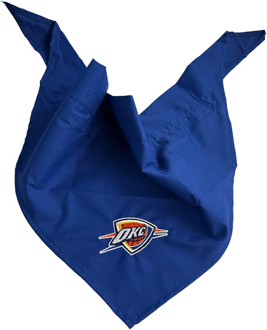 Thunder Pet Large Bandana - Size: Large: Up to 30" - Officially Licensed