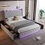 Grey 4ft6 Velvet Storage
