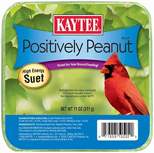 Kaytee Positively Peanut High Energy Mini Suet, 11 Ounces - image 1