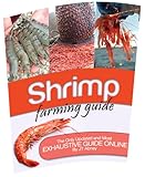 Shrimp Farming Guide