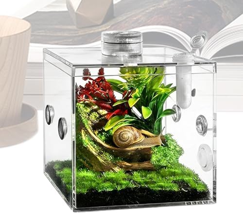 Jumping Spider Enclosure - Acrylic Clear Pet Habitat,Spider Box | for Indoor Living Room Snail Mantis Praying Mantis Small Animal — view 6