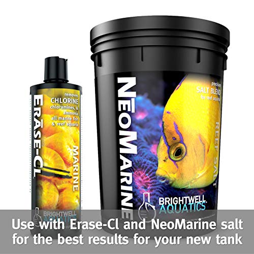 Brightwell Aquatics Microbacter Start Xlm – Live Bacteria Tank Starter Rapidly Establishes Biological Filtration In New Marine & Reef Aquariums #TOP6