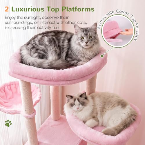 Image of Globlazer Cat Tree Tower for Indoor Cats, Sturdy Adult Cat Tree House for Large Adult Cats with 2 Platform, 6 Cat Scratching Post, 2 Cat Caves, Dangling Toys, S63, 63 inch, Pink