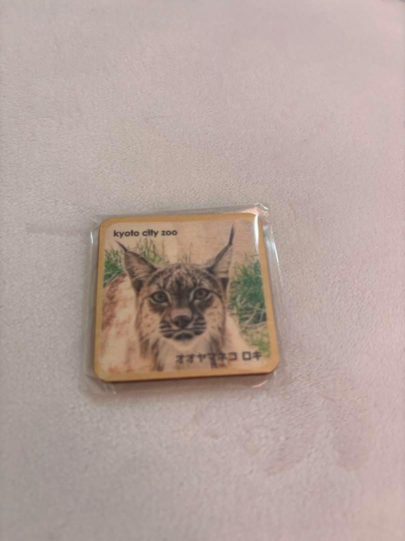 京都市動物園 限定 木のマグネット オオヤマネコ ロキ ハヅキ