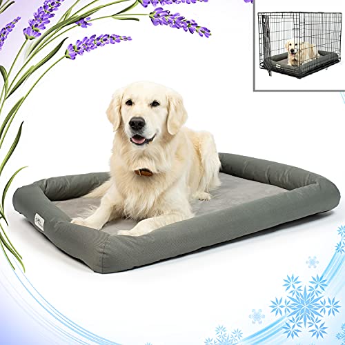 7 Best Calming Dog Beds [2022 Reviews]