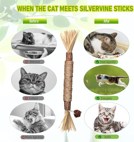 Simsky Katzenminze Sticks für Zahnpflege, 6 Stück, Kausticks für Katzen Zahnstein & Mundgeruch intelligenzspielzeug,Spielzeug Katzen selbstbeschäftigung