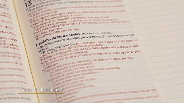 Image of Biblia Reina Valera 1960 de apuntes gris y floreado , tela impresa | RVR 1960 NoteTaking Bible, Grey and Pink, Cloth over Board (Spanish Edition)