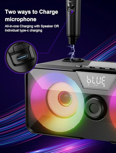 Karaoke Maschine für Erwachsene Kinder mit 2 drahtlose Mikrofone, tragbare Bluetooth Singen PA-Lautsprechersystem mit LED-Leuchten für Home Party,Hochzeit,Kirche,Geburtstag Geschenke (K317)