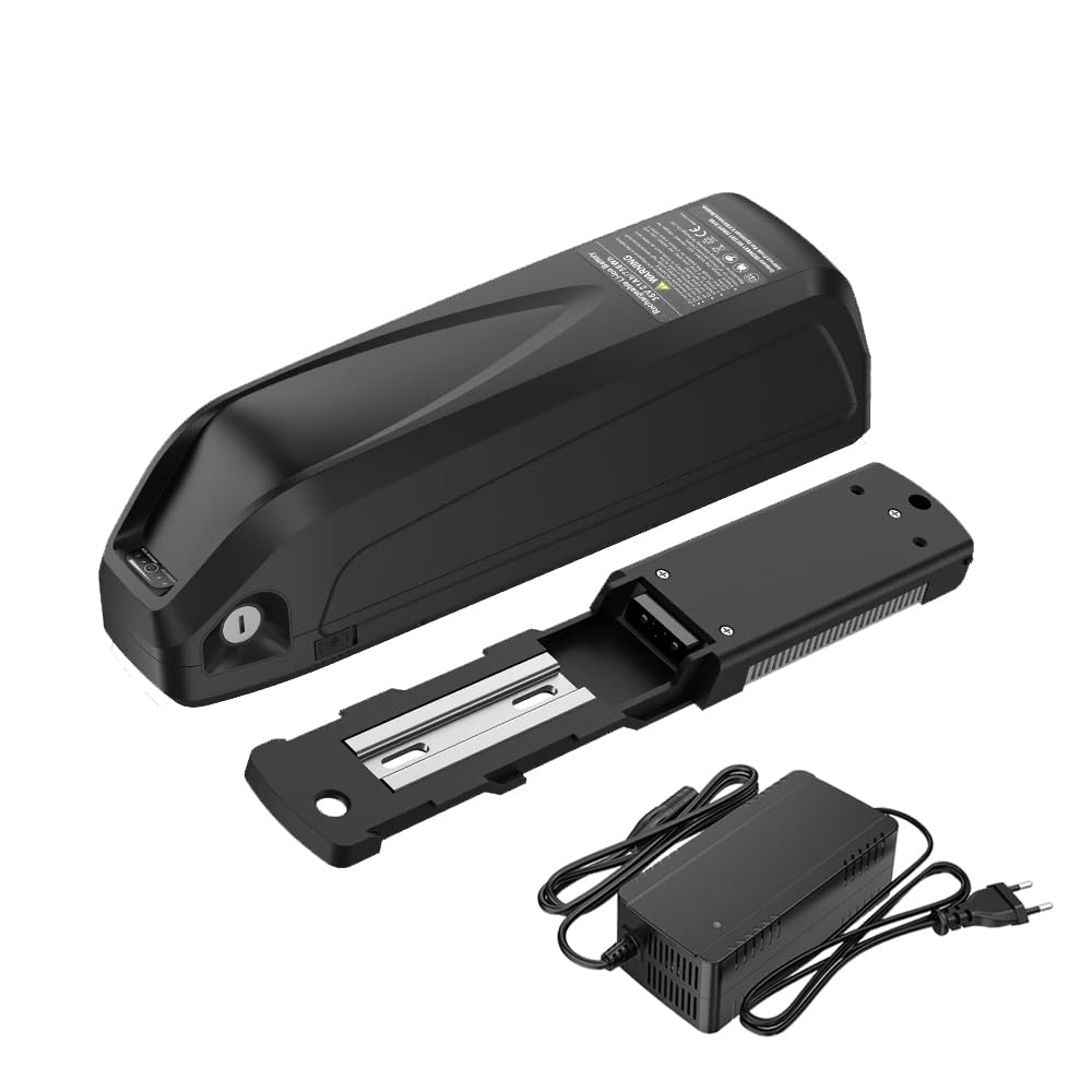 48 Volt Lithium Battery 25Ah/30Ah Hailong 21700 Lithium Cells with 35A BMS, with 3A Charger, USB Port, Suitable for 500W 1000W 1500W Electric Bicycle Motor (48V30Ah)