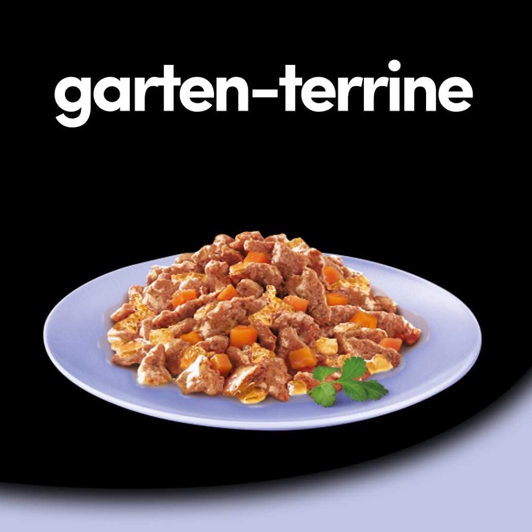 Cesar Nourriture Humide pour Chien - Terrine de Jardin avec Agneau, Carottes et coriandre en gelée - 14 Bols (14 x 150 g)