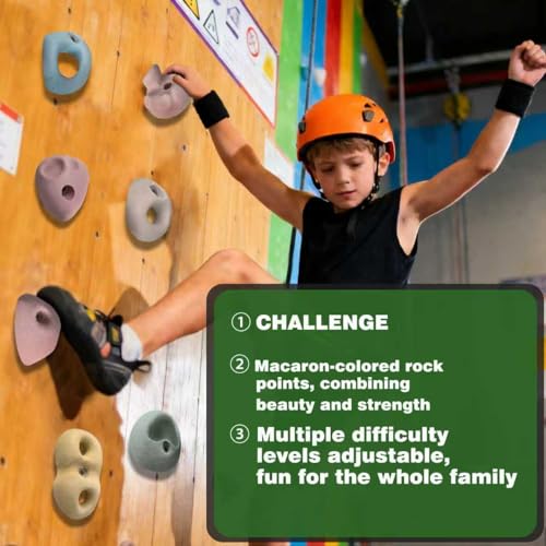 Qicrdvi Premium Rock Climbing Holds, Rock Climbing Grips for Adults & Kids with Full T-Nut Hardware Kit, Indoor Outdoor Home Climbing Wall, for Wood Walls (15Pcs-Wood)