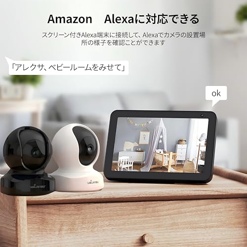 Q5 - 画像 6
