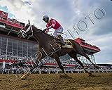 Rombauer 2021 Preakness Stakes Pimlico Winner Horse Racing Flavien Prat Up 8x10 Photo #4