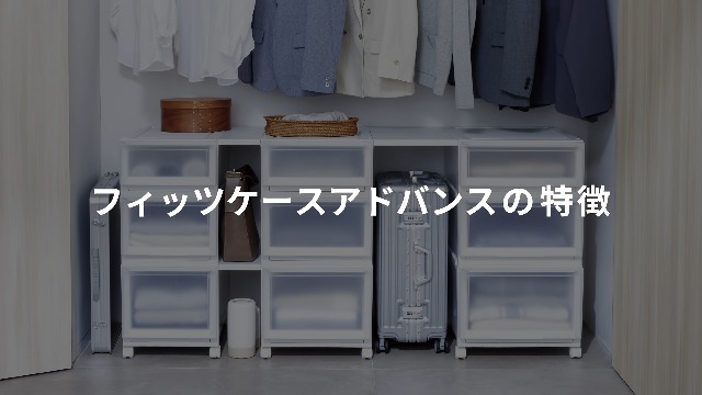 Amazon｜天馬 収納ボックス フィッツケースアドバンス 幅45×奥行55×高