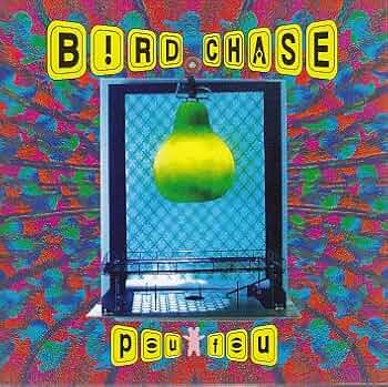プー・フー pou fou バード・チェイス BIRD CHASE CD プー・フー pou fou バード・チェイス BIRD CHASE CD - メルカリ