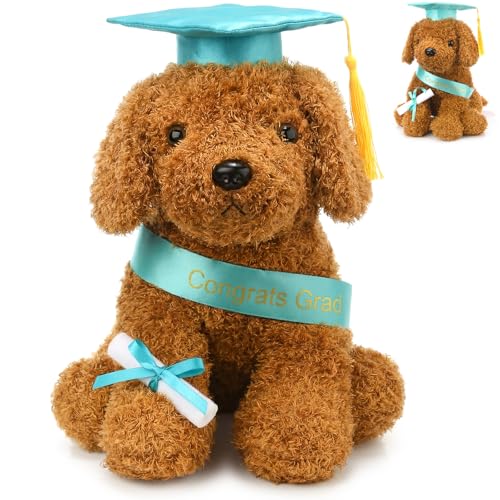 Chalyna 10 Inch Graduation Season Dog Preschool Plush Stuffed Animal Kindergarten Graduation Puppy with Hat, Diploma and Sash, Preschool Kindergarten Gift for Friend Relatives(Green) by Chalyna - Used condition - US$10.36