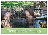 Tiergarten Nürnberg (Wandkalender 2023 DIN A2 quer), Calvendo Monatskalender