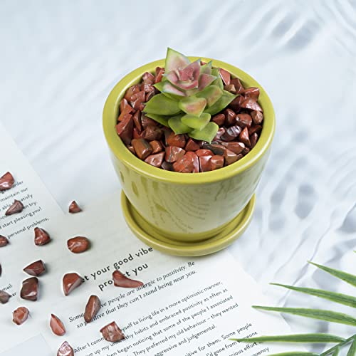 Red Jasper Crystal Chips for Witchcraft Tumbled Chips Natural Irregular Shapped Healing Crystal Chips for Jewelry Making Polished Tumbled Gemstone Chips Reiki Stone Home Décor (1,000+ Carats) by ZAICUS - Image 6