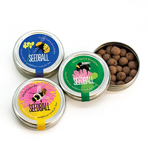 SEEDBALL Bumble Bee Mix Seed Bombs (3X Wild Flower Tins), 20 Seed Balls Per Tin | Eco Friendly British Wildflower Gardening Gifts for Women & Men, Seed Bomb with Poppy, Chamomile, Cornflower and More
