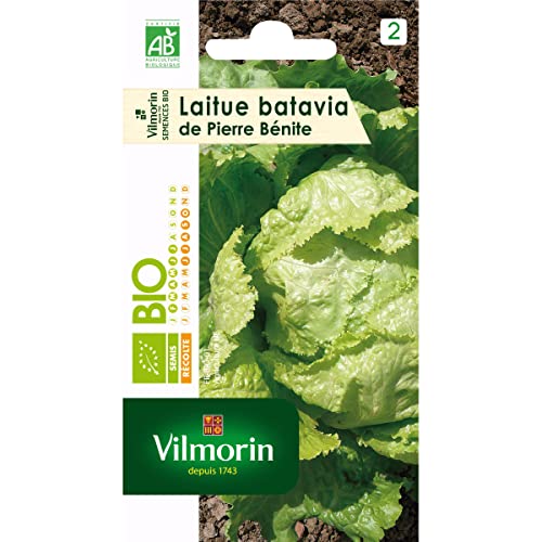 Vilmorin Sachet graines Laitue Batavia de Pierre Benite Bio