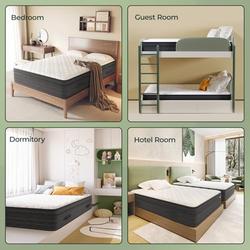12 Inch King Size Mattress in a Box for Back Pain, Medium Firm Feel Fiberglass Free Hybrid Mattress with Individual Pocket Springs and Pressure-Relieving Memory Foam, 120-Night Trial