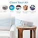 Pure Enrichment PureZone Mini Portable Air Purifier - Cordless True HEPA Filter Cleans Air & Eliminates 99.97% of Dust, Odors, & Allergens Close to You - Cars, School, & Office (White)