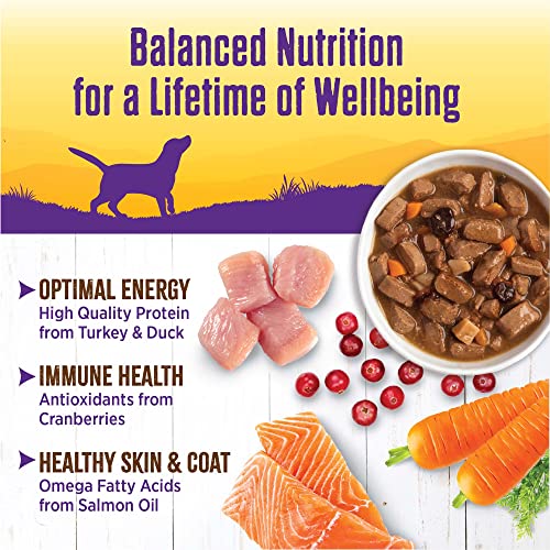 Image of Wellness Complete Health Stew Adult Canned Wet Dog Food, Grain Free, Natural, Turkey and Duck Recipe, 12.5 oz, Pack of 12 Cans