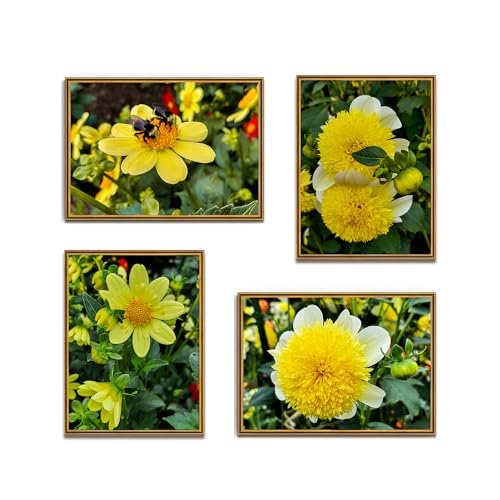 The Virtue of God Floral Photographic Prints (Not Framed), Set of 4 Vertical & Horizontal Pictures of The Summer Flowers Blooms, Wall Fine Art/ Decor, Canvas Print Sizes 8 x 10 to 16 x 20 inch. (10 x