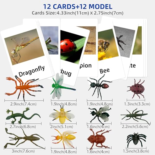 MEROCO Montessori Animal Match - Insect Animal Figurines with Matching Cards Language Montessori Materials Preschool Learning Toy NEWT008 - Image 8