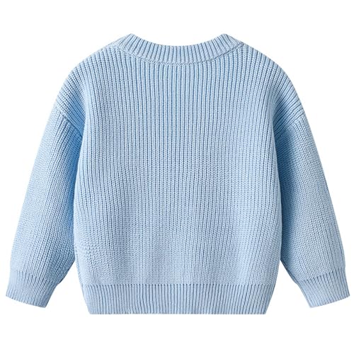 Girls Knitted Sweaters Long Sleeve Crewneck Pullover Cute Comfortable Knit Blouse Lightweight Fall Tops2