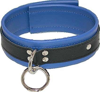 blue leather collar