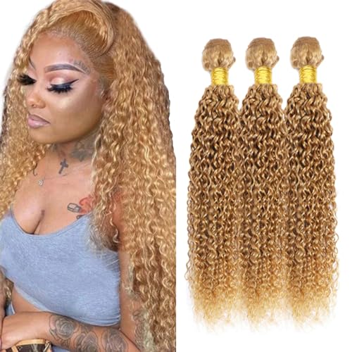 Biliisyff Human Hair Color 27 Curly Human Hair Bundles Honey