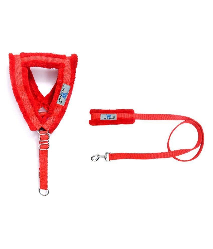 THE DDS STORE Nylon Harness and Leash with Soft Fur, Pet Dog Soft Padded Nylon Dog Harness & Leash -2 Piece Set (X-Large, Red) (B0BMQL1ZZG) Amazon Price History, Amazon Price Tracker