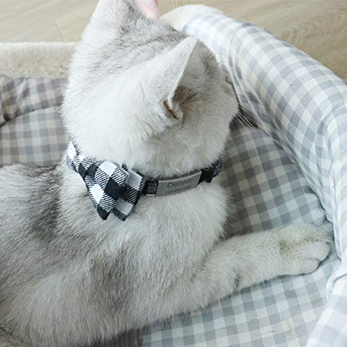 TagME Katzen halsbänder mit Namen und Telefonnummer Auf, Kätzchenhalsband mit Sicherheits Verschluss und Glöckchen, Schwarz