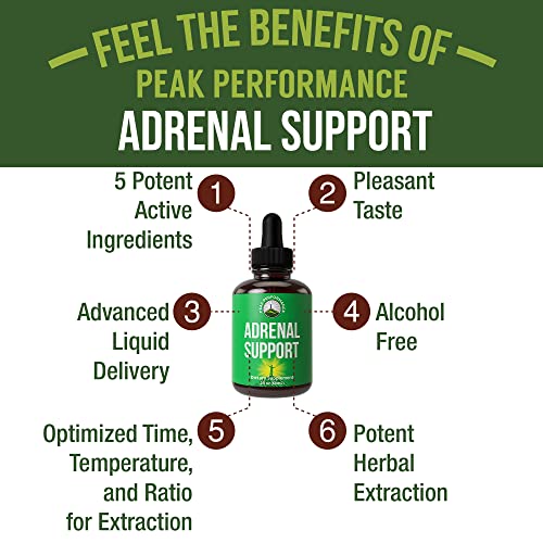 Adrenal Support Supplements To Restore Energy From Adrenal Fatigue