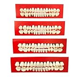 VIKSAUN 4 Stück Temporäres Zahnreparatur Set Formbare Künstliche Zähne Mehrzweck Falsch Zähne Vampirgebiss Zahnersatz Vampir Kostüm Zubehör Halloween Deko party (4 Stück)