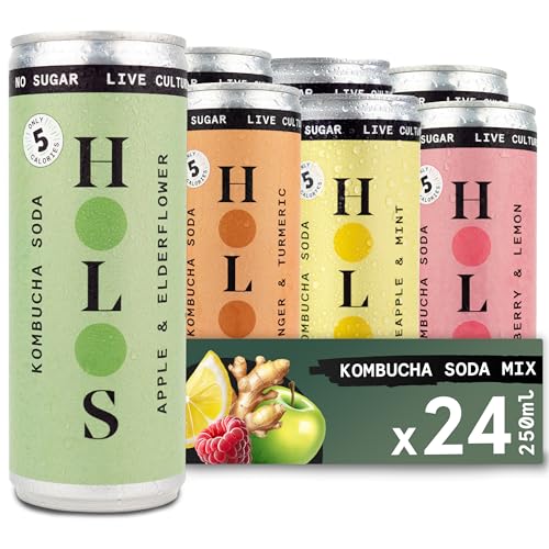 HOLOS Mixed Case Sparkling Kombucha Soda - 6x Each Raspberry & Lemon, Apple & Elderflower, Ginger & Turmeric, Pineapple & Mint Kombucha Drink - Sugar Free Live Culture Drink - 24 x 250ml Kombucha Cans