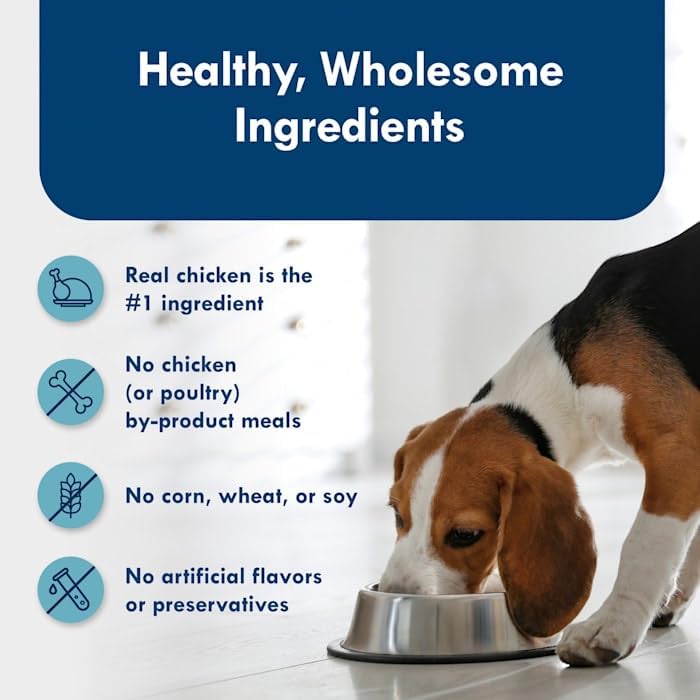 Blue Buffalo Delights Pate Style Grilled Chicken Flavor in Savory Juice Adult Small Breed Wet Dog Food, 3.5 oz., Case of 12