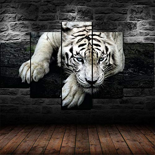 XYYYDS-Cuadro En Lienzo Decoracion 5 Piezas Impresiones En Lienzo- Póster Animal depredador Tigre Blanco -XXL Murales Pared 5 Paneles De Pinturas De Obras De Arte Moderno Cover