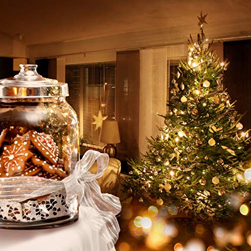 Holiday Essence Christmas Led Lights, 100 Warm White String Lights For Indoor And Outdoor Decorative Use, Holiday And Tree Decor, Patio Hanging Lighting Decorations, Green Wire, 26.9 Ft, Ul Certified #TOP6