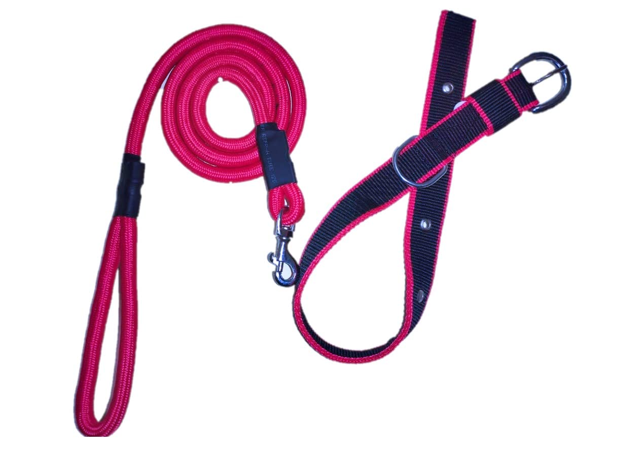 JAPIN Dog Neck Collar Belts and Rope Set Waterproof for Medium Dogs (B0B1H99NST) Amazon Price History, Amazon Price Tracker