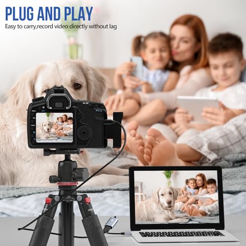 VIXLW Video Capture Card, USB3.0 HDMI to USB C, 4K 1080p60fps Audio Capture with Type-C Adapter Devices for Gaming/Live Streaming/Video Recording, for Windows Mac OS System OBS Zoom - Thumbnail 2