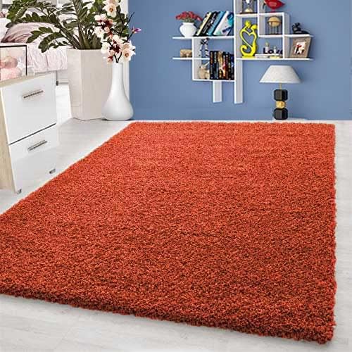 Super Soft Shaggy Rug Anti-Slip Carpet Mat Living Room Large Area Rugs Modern Floor Bedroom Extra Large Size (80 x 150 cm, Terracotta)