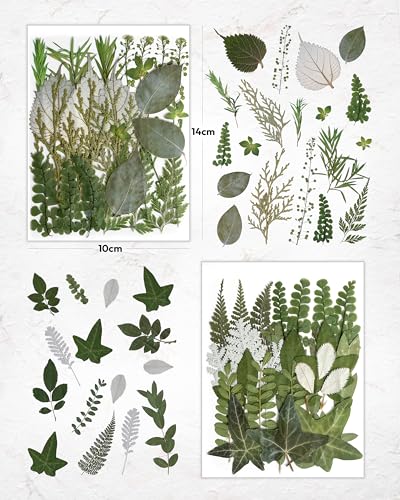 Image of Resiners Dried Pressed Flowers for Resin Molds, Real Natural Dried Flowers Dry Leaves kit for Scrapbook Supplies Card Making Resin Jewelry Making Soap Candle DIY Crafts (Green Leaves100pcs)