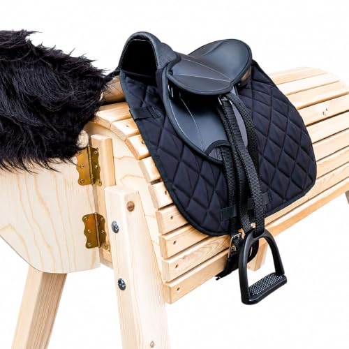 American Warmblood