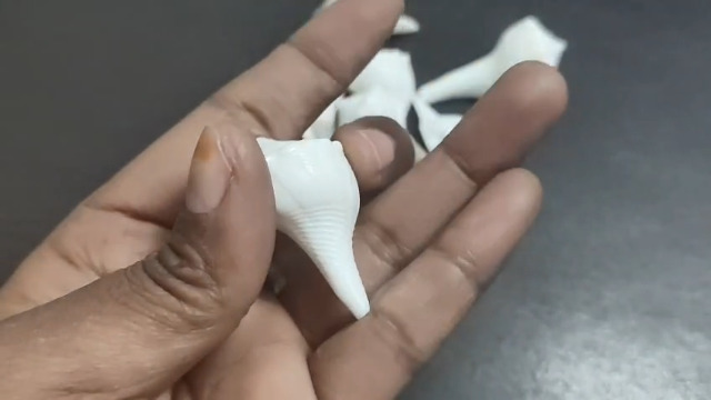 Amazon.com: Dakshinavarti Shankh Natural 1 Inch (Very Small) Right