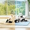 luciphia Tappetino Refrigerante Cane e Gatti,Tappeto per Cani,Cuscino Rinfrescante Estivo,Cuccia Lavabile per Cani,Coperta Rinfrescante per Cani di Taglia Grande,Media e Piccola Blu 77 * 102cm