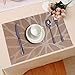 HEBE Placemats for Dining Table Set of 6 Heat Insulation Stain Resistant Kitchen Table Mats Non Slip Woven Vinyl Placemat Wipe Clean(6, Brown)