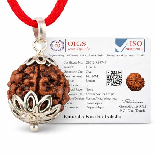 Image of 5 Mukhi Rudraksha | Panchmukhi Rudraksha | Rudraksha 5 Mukhi | Nepali Ruthratcham | 5mukhi Rudraksha Original Certified with Red Thread | With Silver Plated Pendant